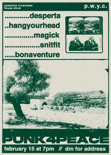 Brown and Green PUNK4PEACE Poster